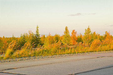 Image showing   Landscapes of the Far North