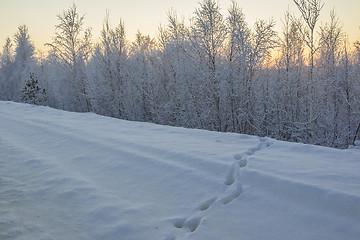 Image showing winter Landscape.