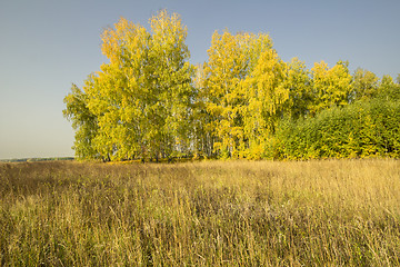 Image showing autumn sketches.