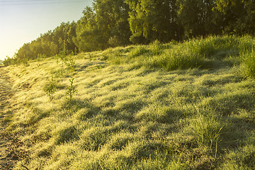 Image showing  summer landscape