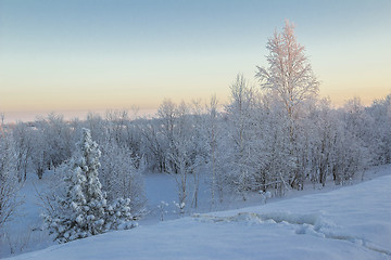 Image showing winter Landscape.