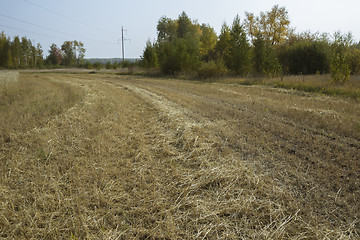 Image showing autumn sketches.