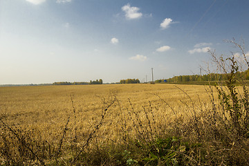 Image showing autumn sketches.