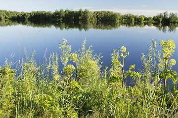 Image showing Landscape.