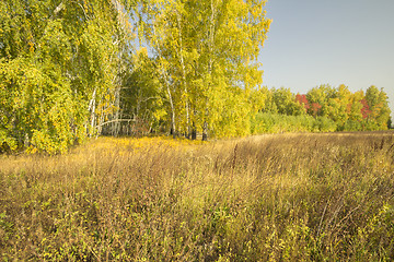 Image showing autumn sketches.