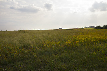 Image showing autumn sketches.