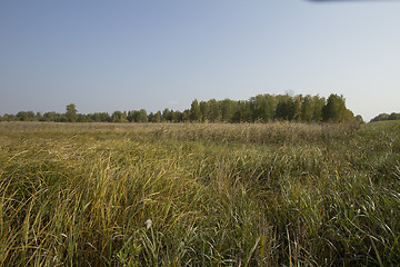 Image showing autumn sketches.