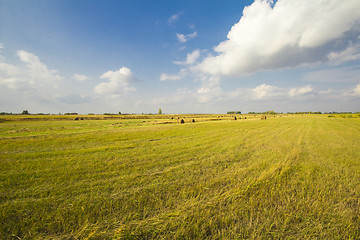 Image showing autumn sketches.