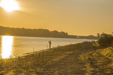 Image showing  summer landscape