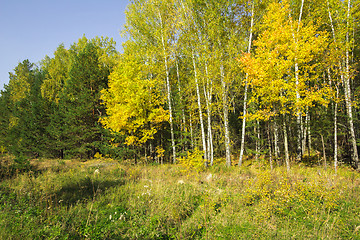 Image showing autumn sketches.