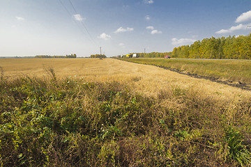 Image showing autumn sketches.