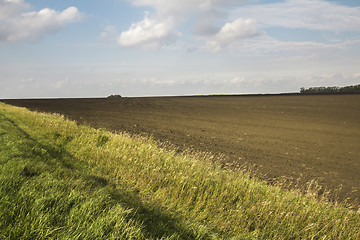 Image showing autumn sketches.