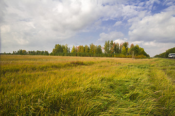 Image showing autumn sketches.