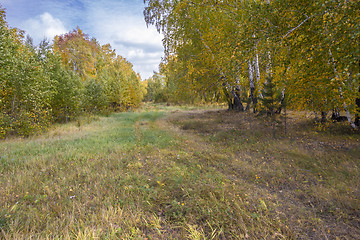 Image showing autumn sketches.