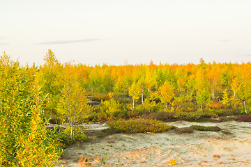 Image showing   Landscapes of the Far North