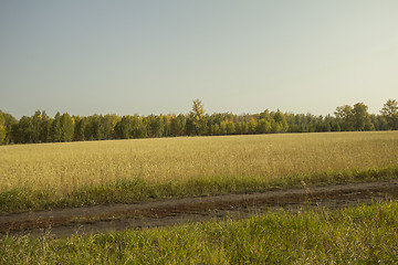 Image showing autumn sketches.