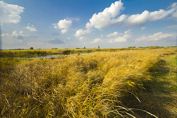 Image showing autumn sketches.