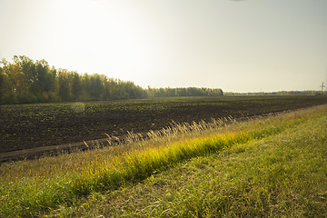 Image showing autumn sketches.