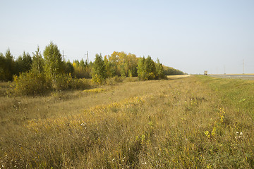 Image showing autumn sketches.