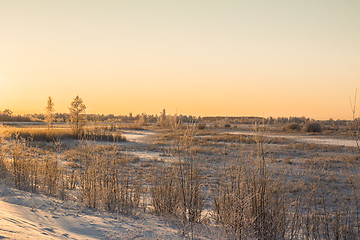 Image showing winter Landscape.