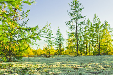 Image showing   Landscapes of the Far North