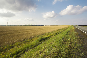 Image showing autumn sketches.