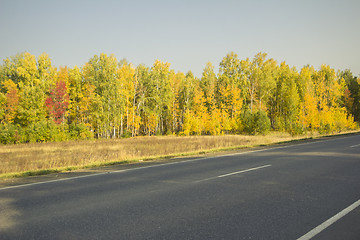 Image showing autumn sketches.