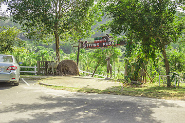 Image showing Tailand.Pattayya.Zoopark