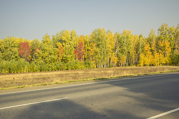 Image showing autumn sketches.