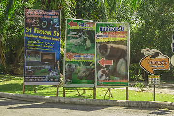 Image showing Tailand.Pattayya.Zoopark
