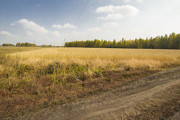 Image showing autumn sketches.