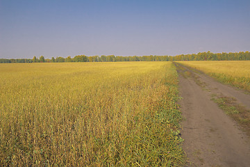 Image showing autumn sketches.