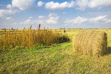 Image showing autumn sketches.