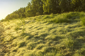 Image showing  summer landscape