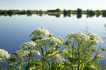 Image showing Landscape.