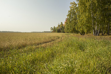 Image showing autumn sketches.