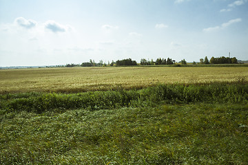 Image showing autumn sketches.