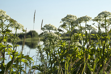 Image showing Landscape.