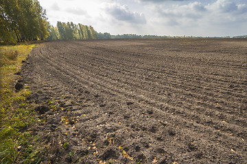 Image showing autumn sketches.