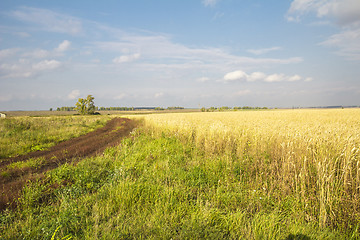 Image showing autumn sketches.