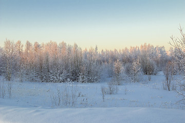 Image showing winter Landscape.