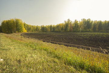 Image showing autumn sketches.