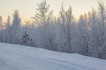 Image showing winter Landscape.