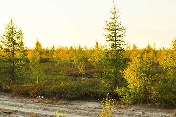 Image showing   Landscapes of the Far North