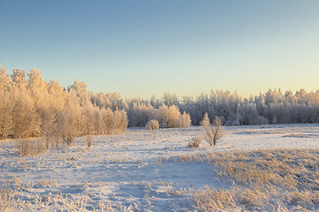 Image showing winter Landscape.