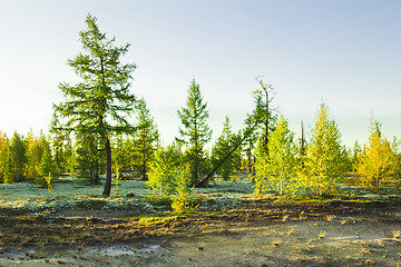 Image showing   Landscapes of the Far North