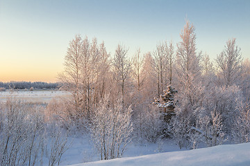 Image showing winter Landscape.