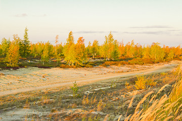 Image showing   Landscapes of the Far North