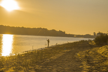 Image showing  summer landscape