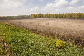 Image showing autumn sketches.